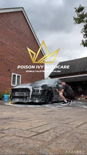 Image of Poison Ivy Autocare – Mobile Valeting & Unit Based Detailing. – Telford