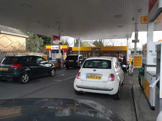 Image of Shell – Beckenham