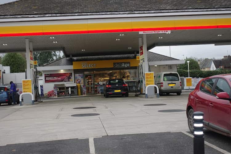 Image of Shell – Exeter