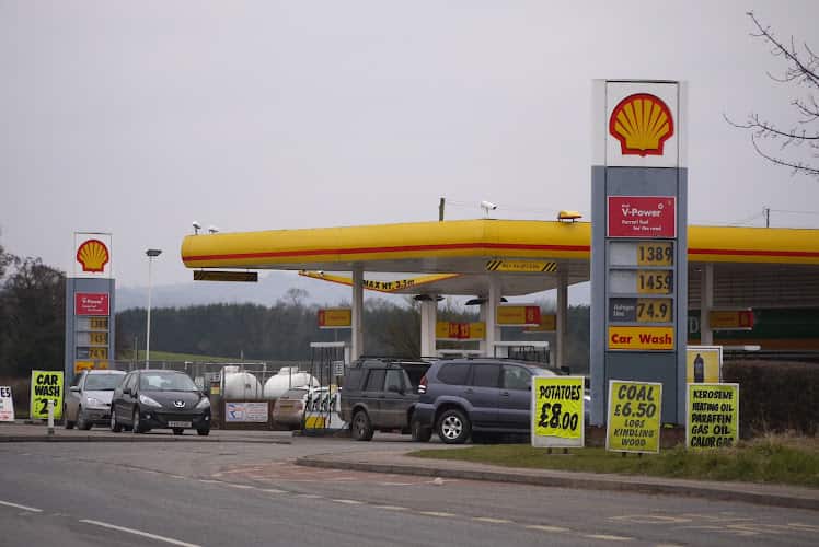 Image of Shell – Hereford
