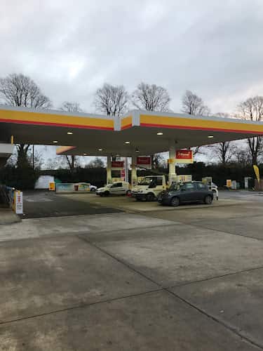 Image of Shell – Hitchin