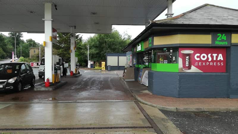 Image of Shell – Jedburgh