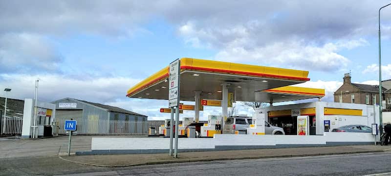 Image of Shell – Montrose