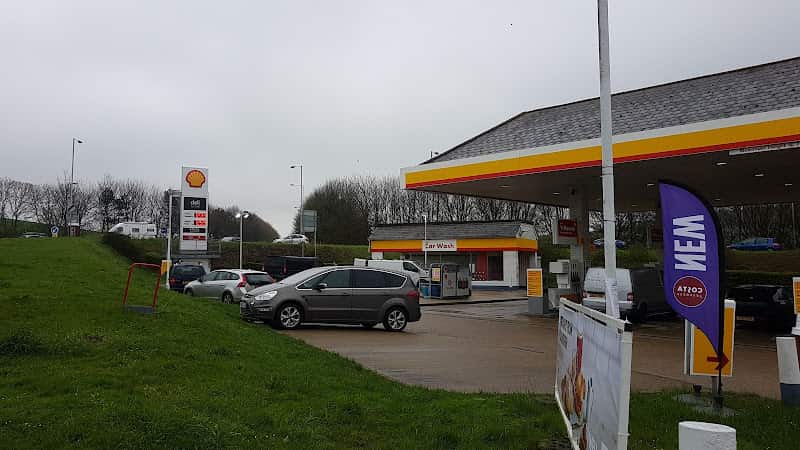 Image of Shell – Wareham