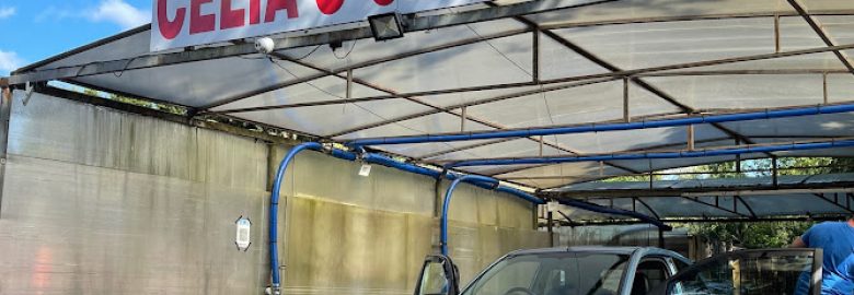 Celia’s Hand Car Wash – Betchworth