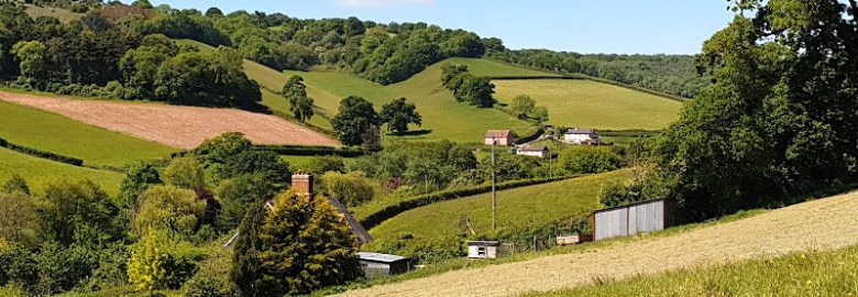 Hand Car Wash – Newton Abbot